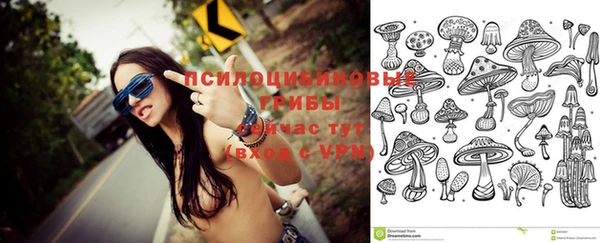 прущий лед Белокуриха